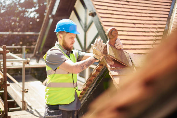 Best Roof Maintenance Services  in New Athens, IL